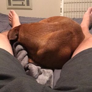 Meet your Posher, Dan